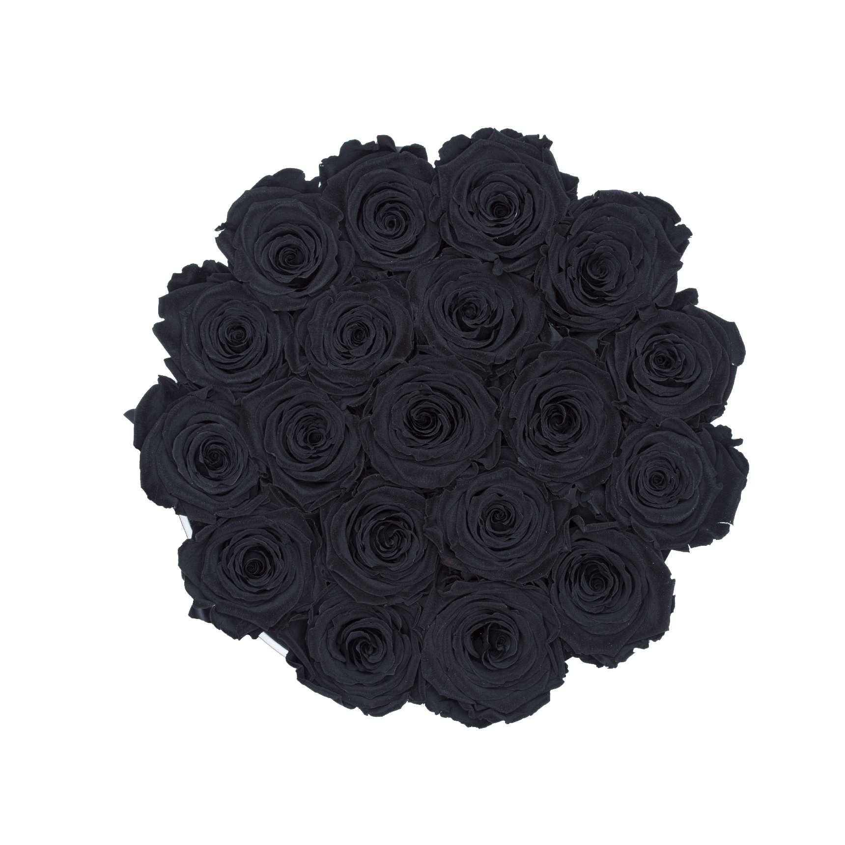 Black Preserved Roses | Small Round White Luxury Rose Box